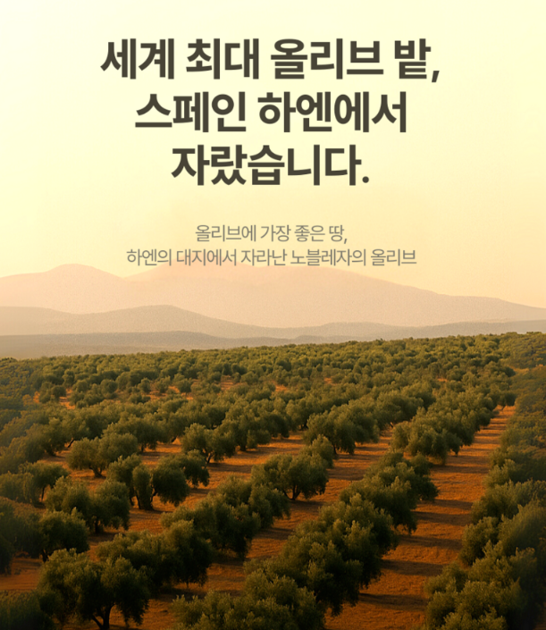 노블레사 델 수르 엑스트라버진 올리브오일 500ml, 유기농 공복 올리브오일로 찾는다면