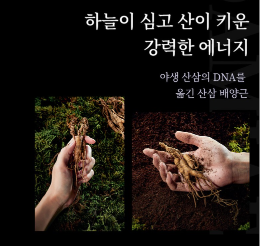 천담채 천삼기환 침향환 30환, 부모님 선물로 괜찮을까?